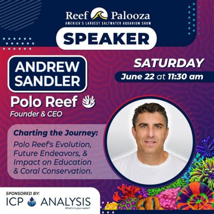 Andrew Sandler: Exploring His Polo Reef Legacy and Estimated Net Worth