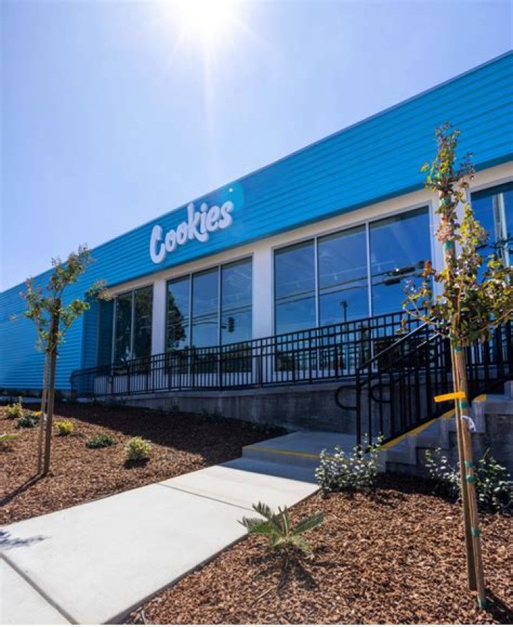 Best Mendocino Dispensary for Cookies | Buy Cookies Mendocino