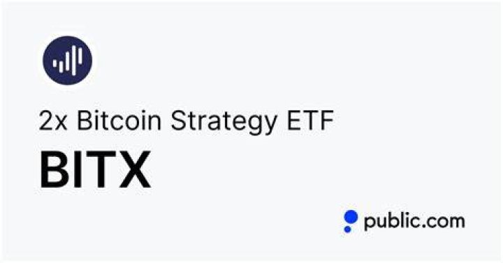 BitX Stock Dividend: A Comprehensive Overview
