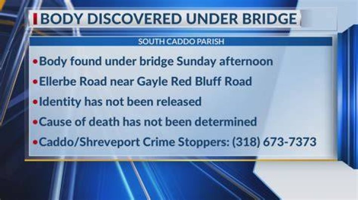 Breaking News: Body Found Under Bridge: Update