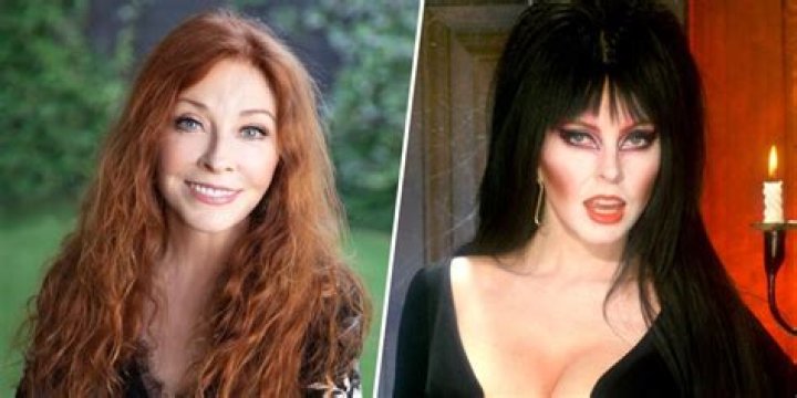 Cassandra Peterson Smoking: A Closer Look at the Icon Behind Elvira