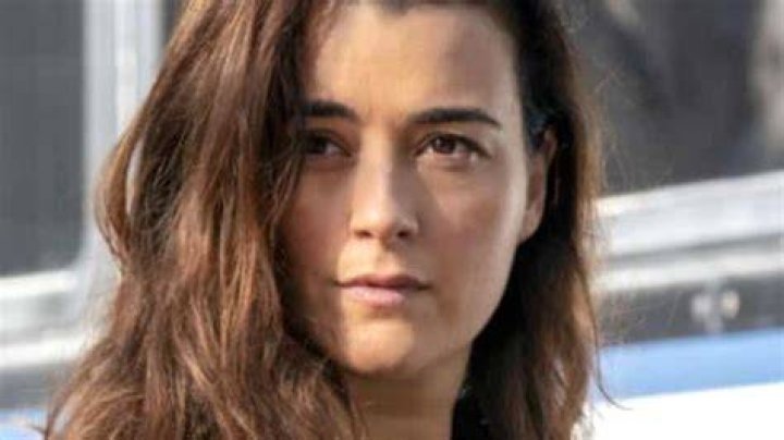 Cote de Pablo Bra Size: Everything You Need to Know About the Talented Actress
