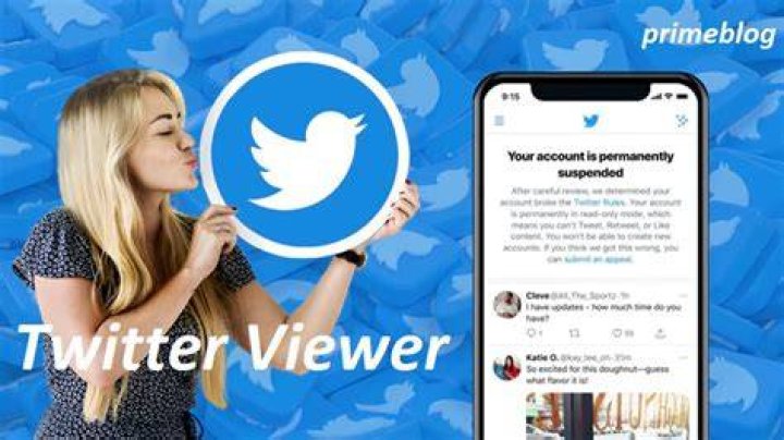 Exploring the World of Public Sex Twitter: A New Frontier of Expression