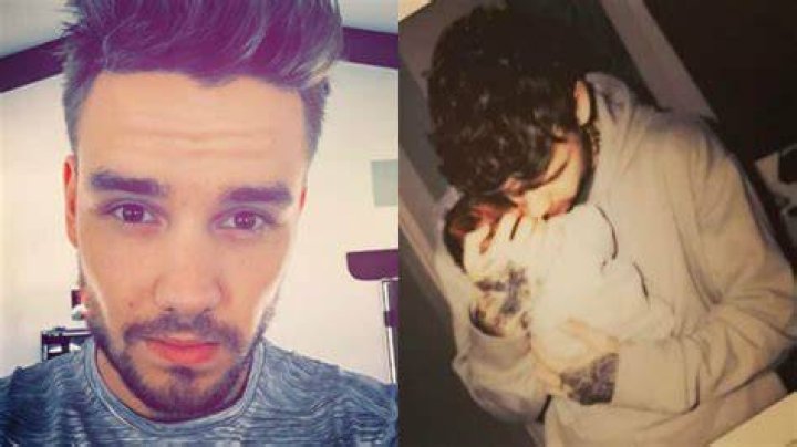 Hilarious Liam Payne Captures: A Collection of Amusing Pics