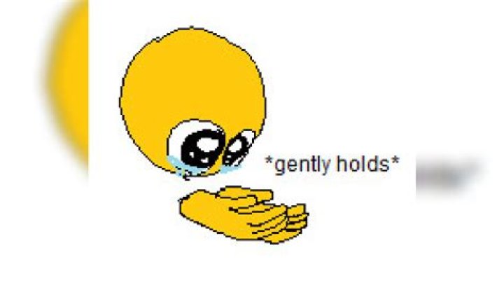 Hold Gently Meme: The Cutest Way to Express Caution