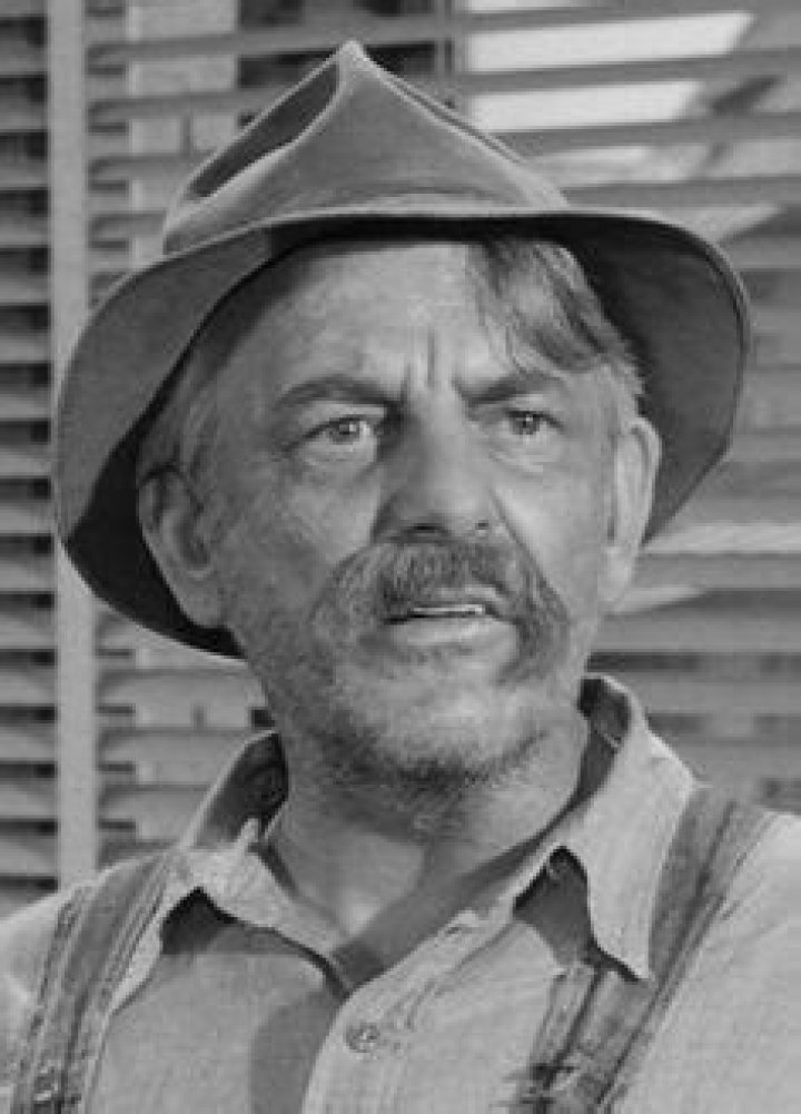 Renowned Actor Denver Pyle: A Tribute to His Illustrious Career
