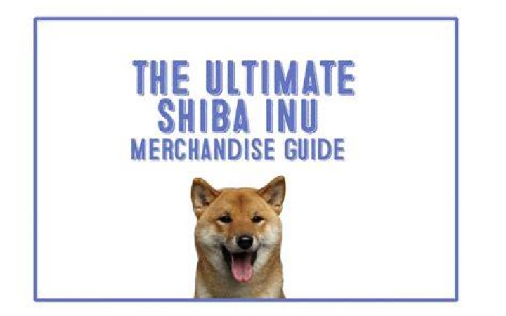 Shiba Inu Merch: Your Guide to Paw-some Products