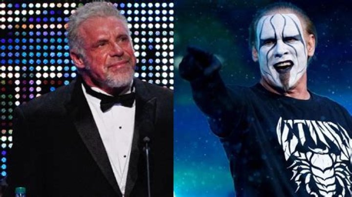 Sting vs. Piddy: The Ultimate Showdown