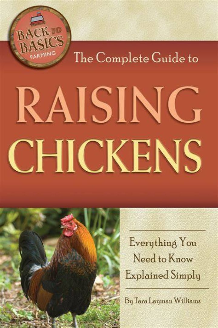 The Complete Guide to Leathem Stearn: Everything You Need to Know