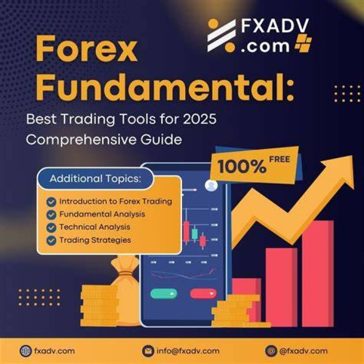 The Essential Guide to FX Tools: Unlock Trading Success