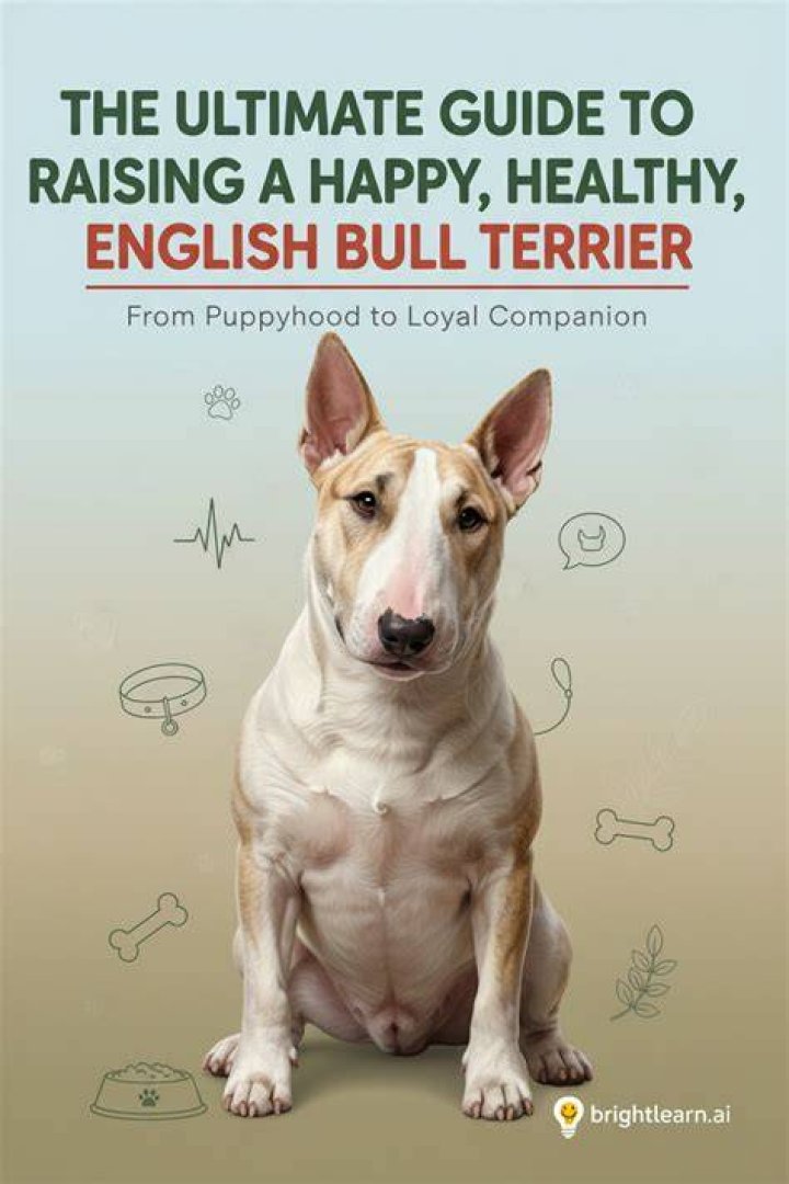 The Ultimate Guide to Caitlin Bull: Your Comprehensive Resource