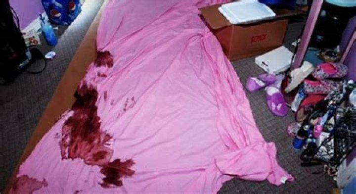 Unraveling the Mystery: The Gypsy Rose Crime Scene Photo