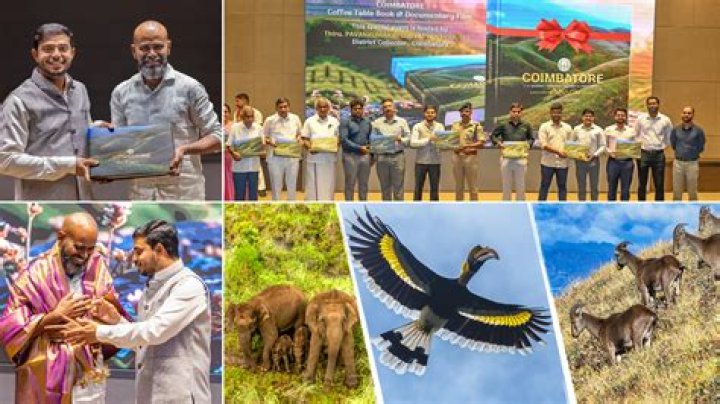 Unveiling the Charisma of Iradha Kannada S: A Journey Through Culture and Art