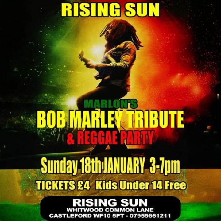 Zionavid Marley: A Rising Star in the Reggae Scene